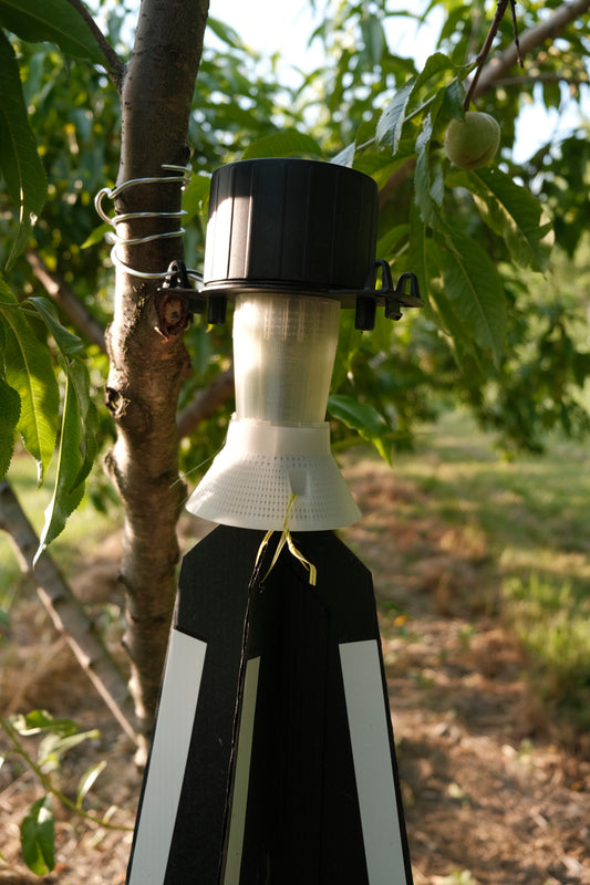 eScout Plum Curculio Trap