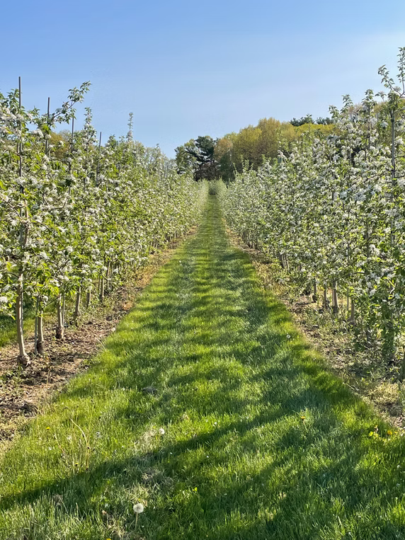 Honey Pot Hill Orchards, MA