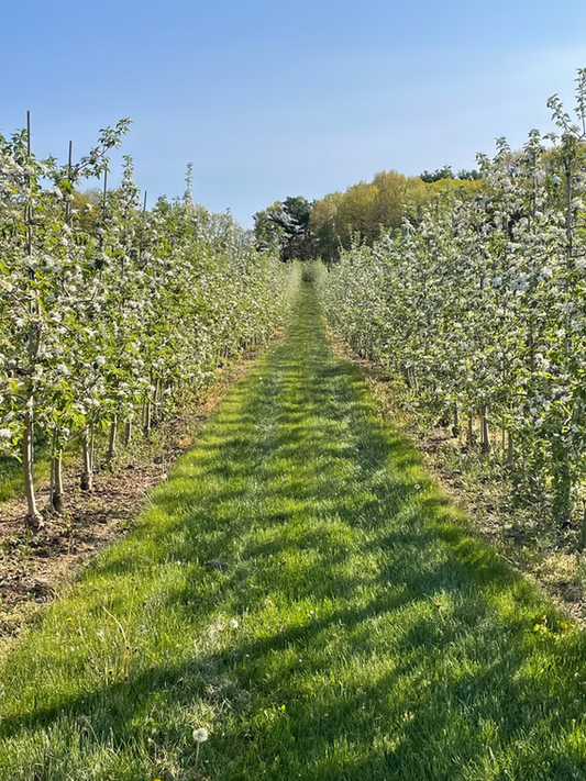 Honey Pot Hill Orchards, MA