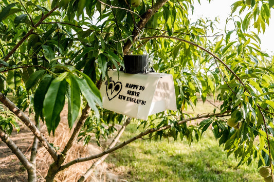 Why New England Farms Are Losing the Pest Battle—And What We Can Do About It