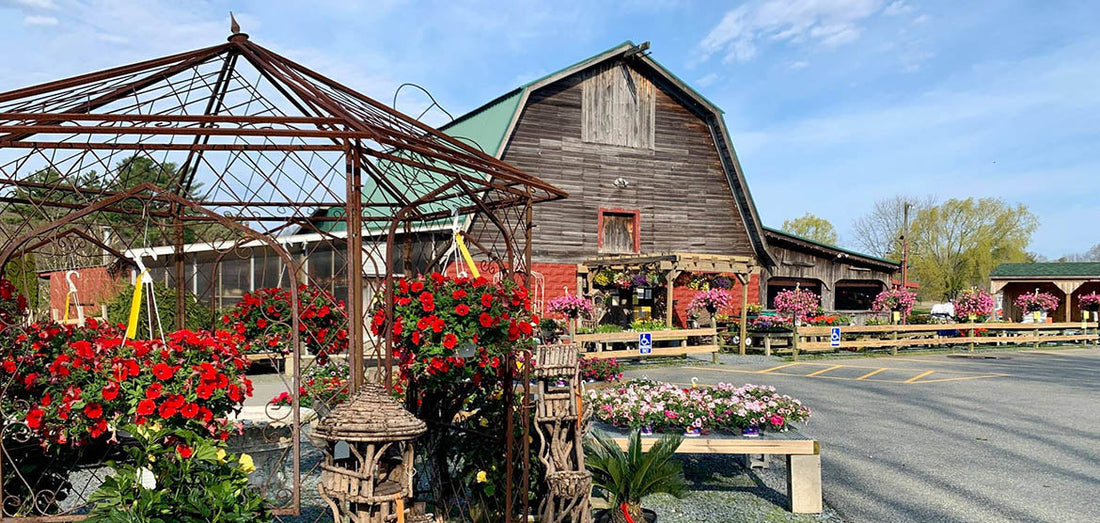 C.N. Smith Farm, MA