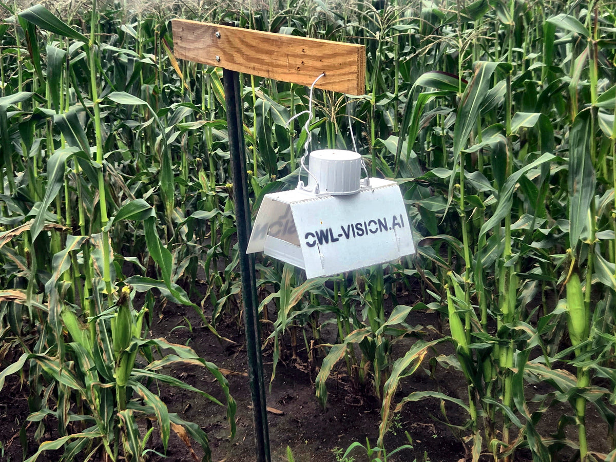 eScout Delta Trap