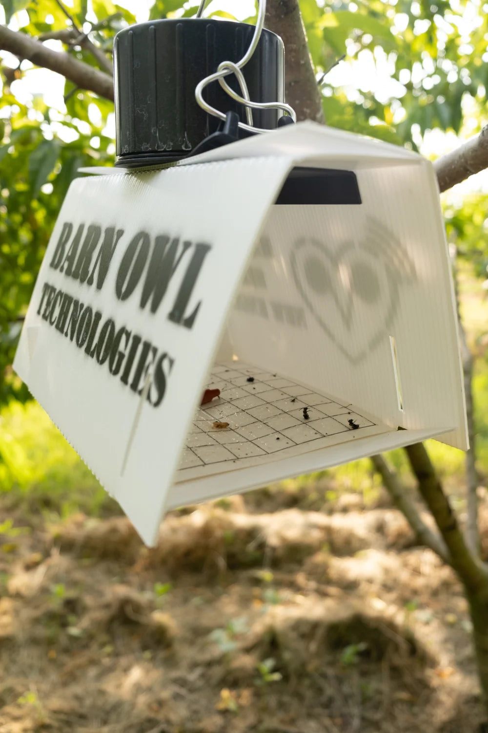 eScout Delta Trap