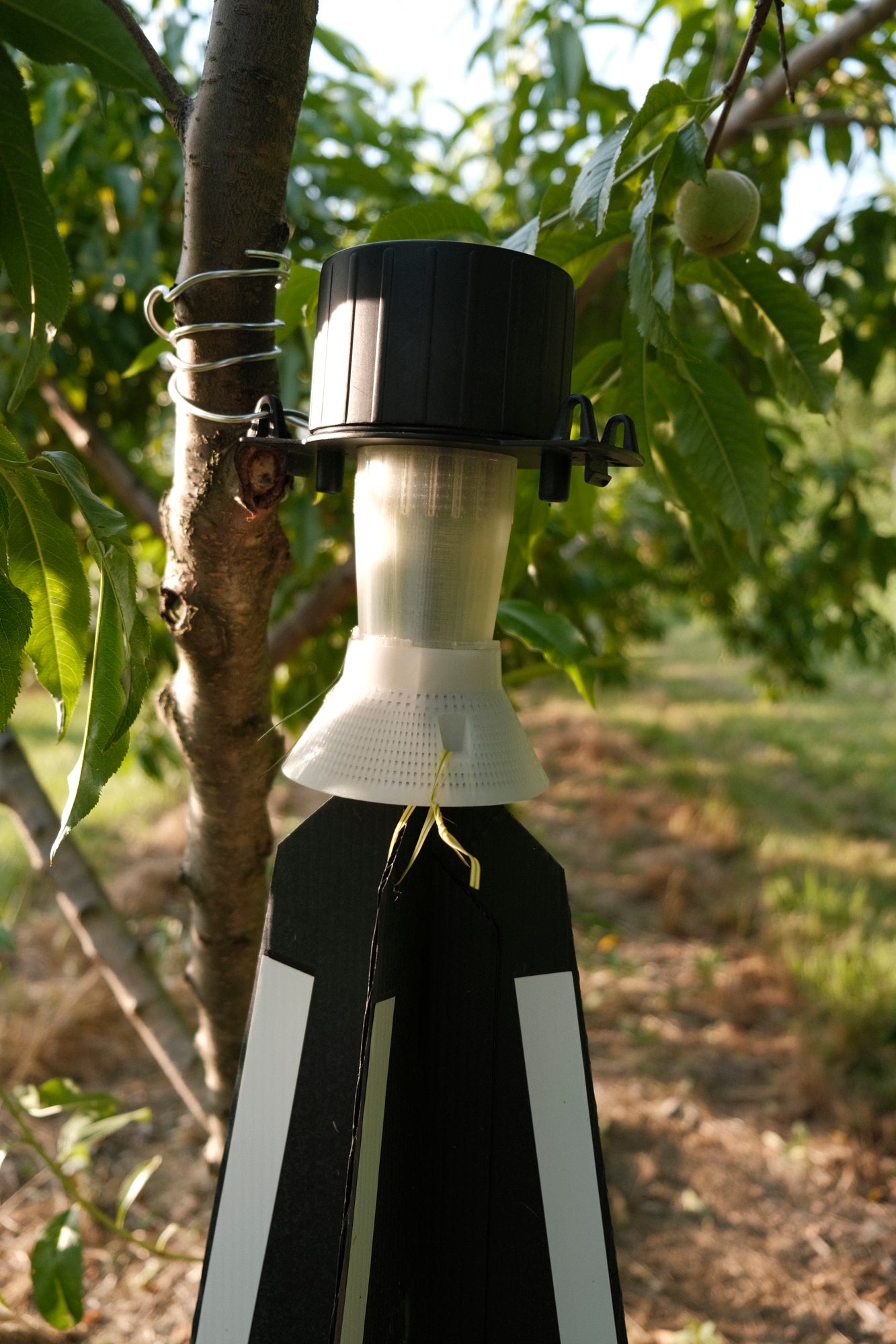 eScout Plum Curculio Trap