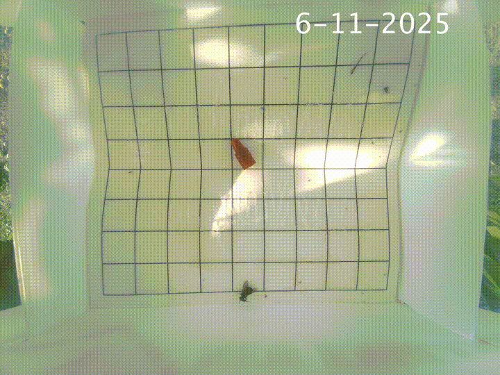 eScout Delta Trap