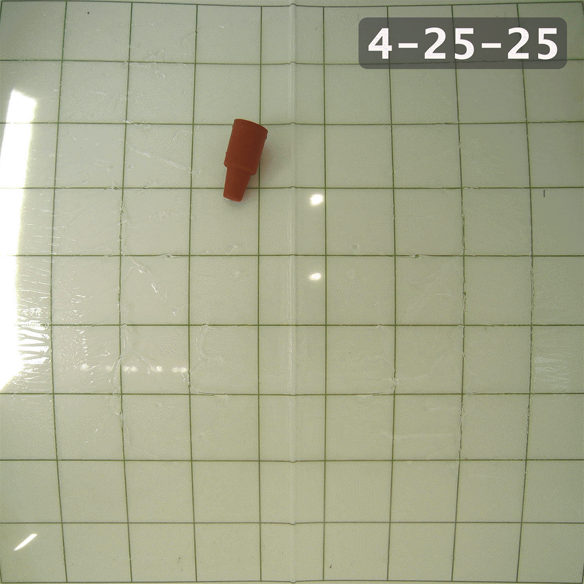 eScout Delta Trap