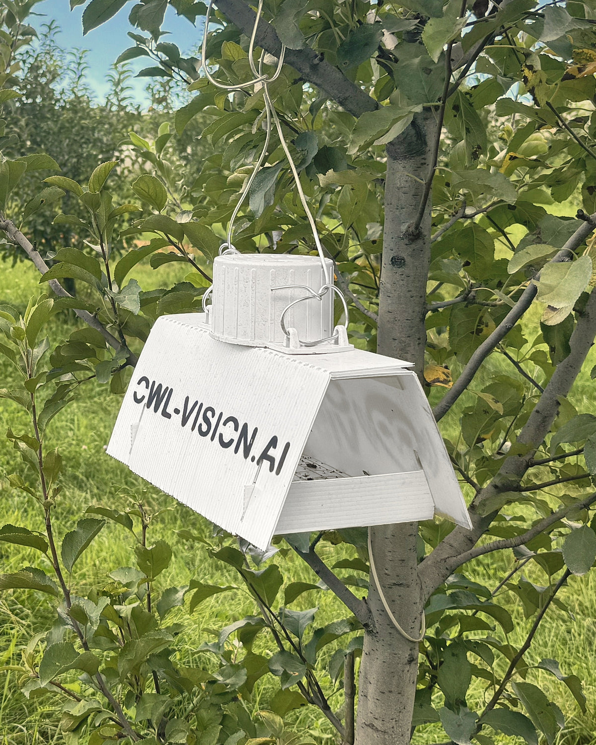 eScout Delta Trap