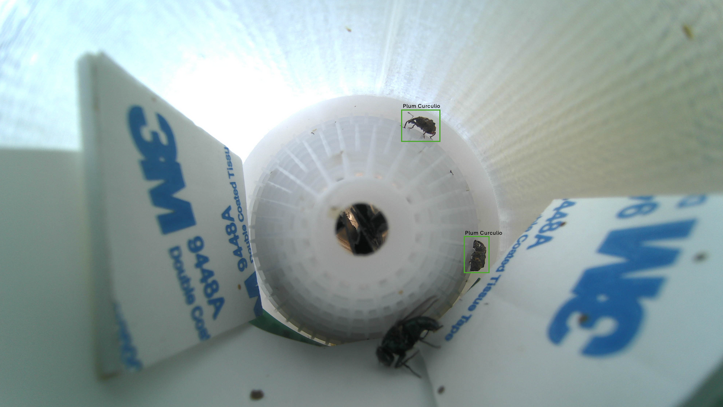 eScout Plum Curculio Trap